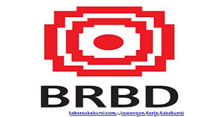 Lowongan Kerja Pramuniaga Toko BRBD Baby Shop Sukabumi 2022