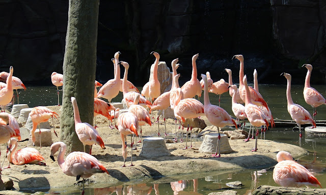 Sachsen mit Kindern entdecken - Zoo Leipzig