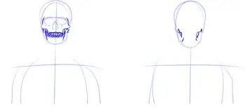 Como Dibujar un Esqueleto Humano Paso a Paso [ Guia 2021 ]
