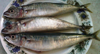 ikan Malalugis