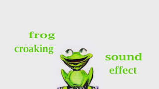 how frog sounds