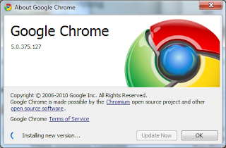 Update to Google Chrome 6