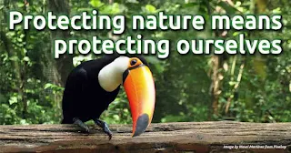 Protecting nature means protecting ourselves. Read the full article by Louisa Casson @Greenpeace. Carbon offsetting is vital to your cleaner, greener business and lifestyle. First, make your website and lifestyle carbon-neutral by a self-service carbon offsetting at https://en.zeroco2.cf/#new