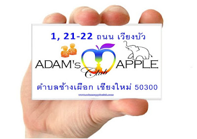 Gay Nightclub Chiang Mai Adams Apple Club