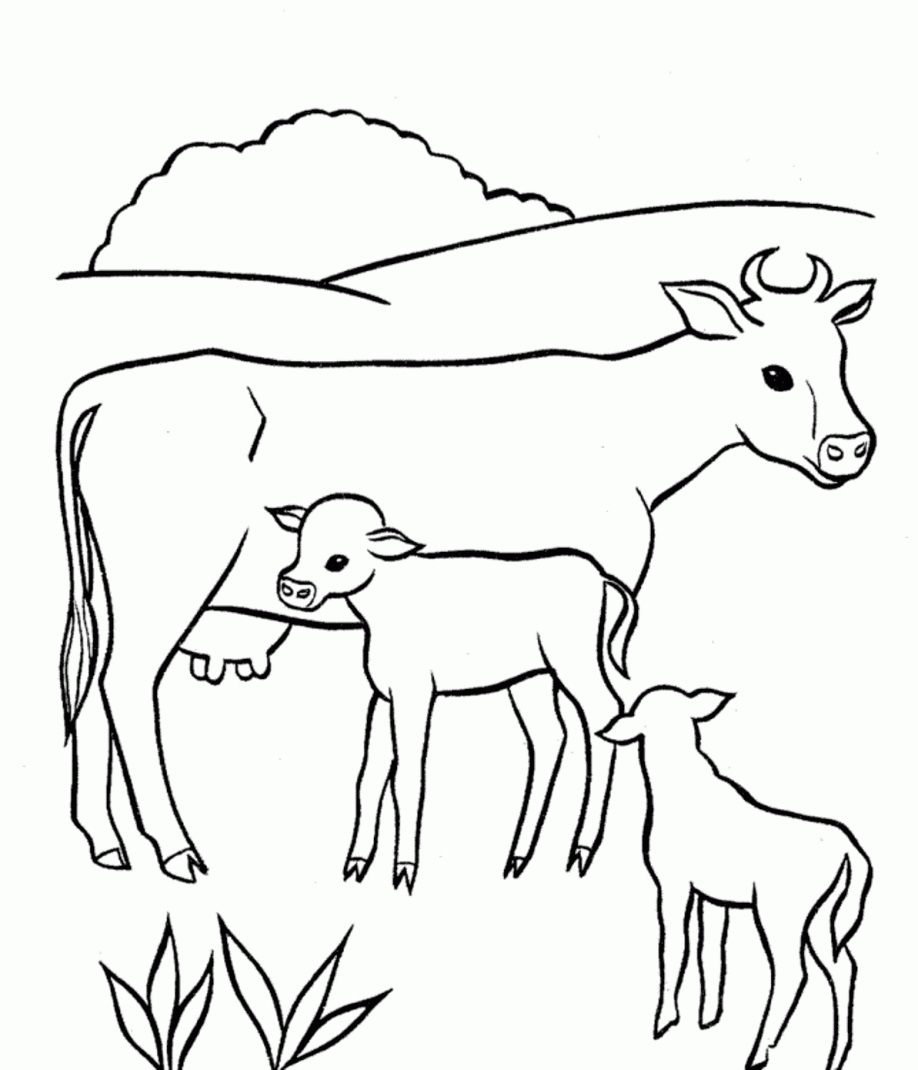 Cow and Baby Coloring Pages