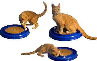 Turbo Scratcher Interactive Cat Toy And Scratcher $6.39 Reg $12.97   Free Shipping With Amazon 