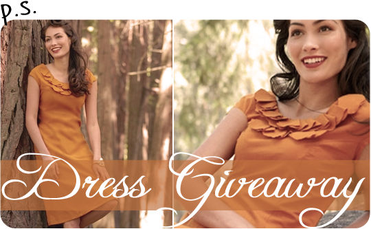 Shabby Apple Dress Giveaway