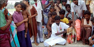 pria india menikahi anjing