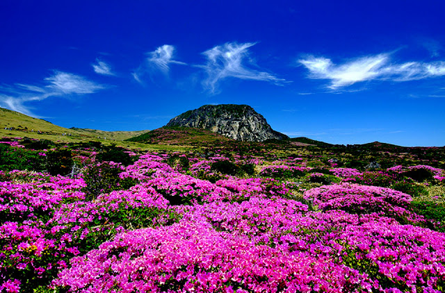 Jeju island 