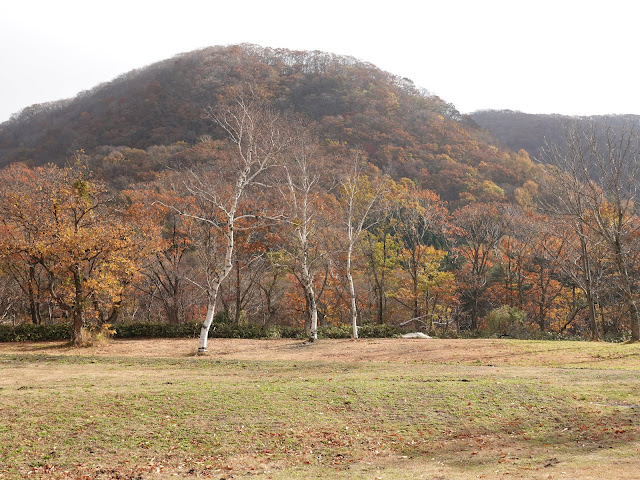 奥大山スキー場の公園