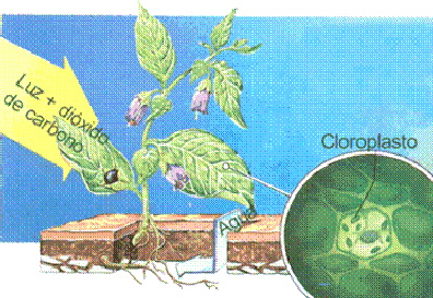 clip_image014
