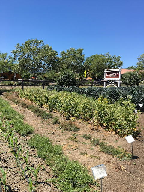 Farmstead garden