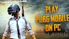  How to Run & Download PUBG Mobile on PC|Blind Article