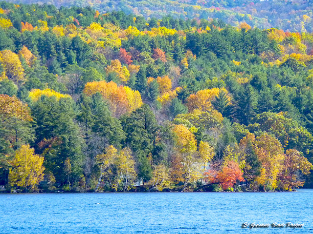 Árboles de Colores de Otoño en Vermont - Estados Unidos por El Guisante Verde Project