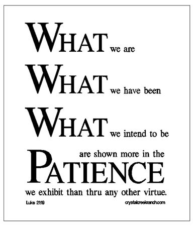 funny quotes and sayings about. funny quotes and sayings about