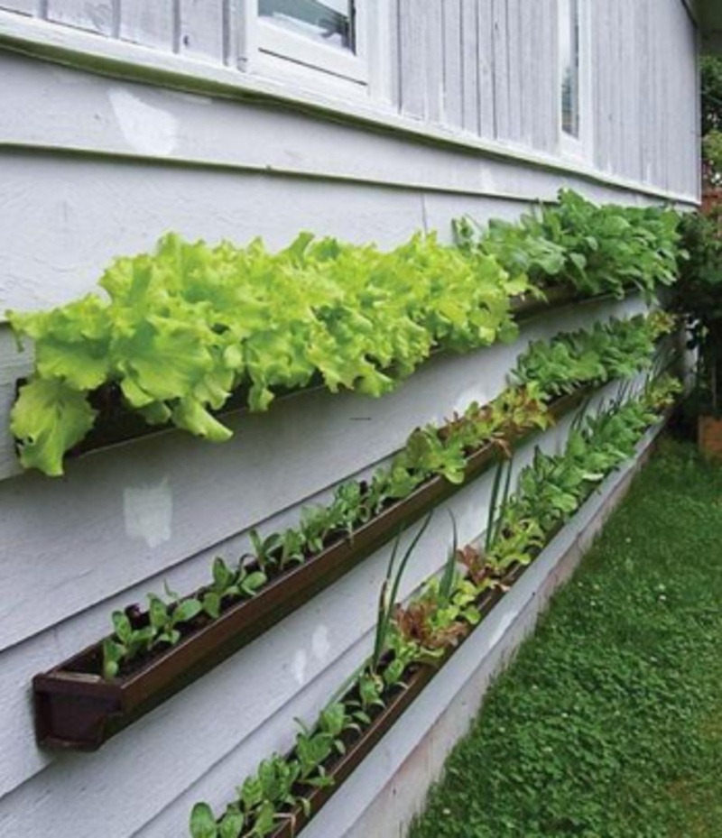 guttering garden