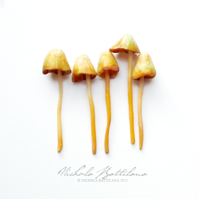 Fairy Mushrooms - Nichola Battilana