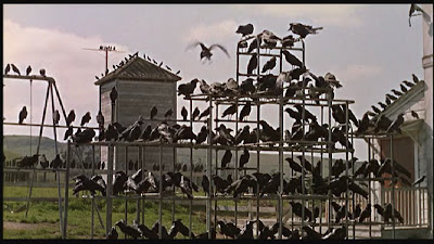 Scene from The Birds