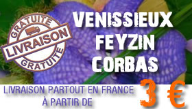 Livraison de fleurs 69