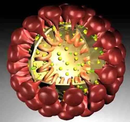 कोरोनावायरस क्या है? क्यों यह वायरस कई देशों में तेजी से फैल रहा है? इससे सुरक्षित कैसे रहे?