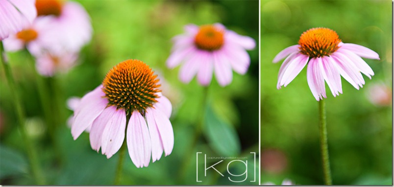 Diptych 3_blog