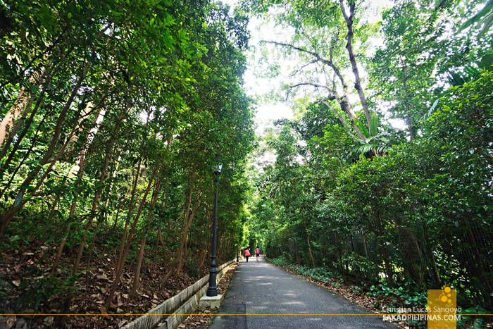 Singapore Botanic Gardens Pathways