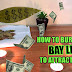 How to manifest Money with Bay leaf