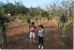 Jom berkebun 13.2.2011 009