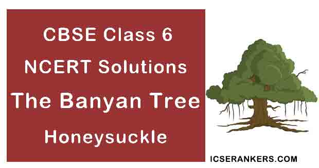 NCERT Solutions for Class 6th English Chapter 10 The Banyan Tree
