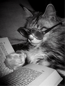 Cool cat reading book