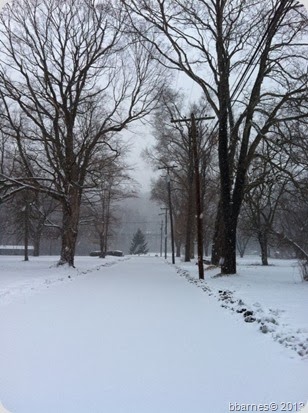 12142013 Warren Glen 1