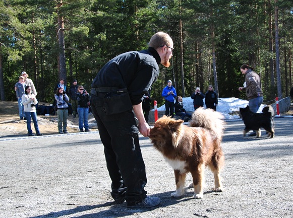 Kongsberg 012