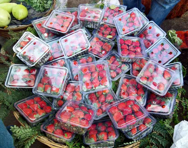 strawberries in plastic containers