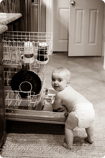 IMG_0393_BW IMG_0393_BW