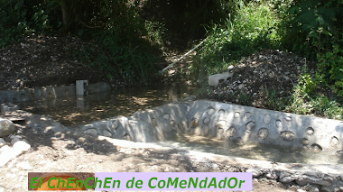 Iniciará Proyecto Piloto de Crianza de Peces