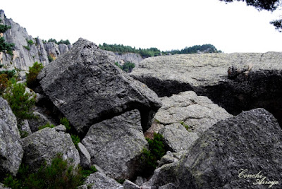 Montículo de rocas desde donde se puede apreciar la Laguna completa y su entorno.