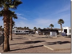 Tuscon Rincon Country Park 005