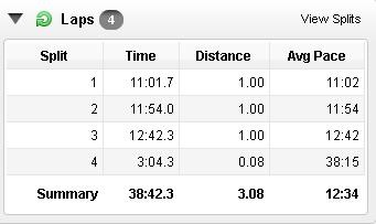 Donkey Dash Splits