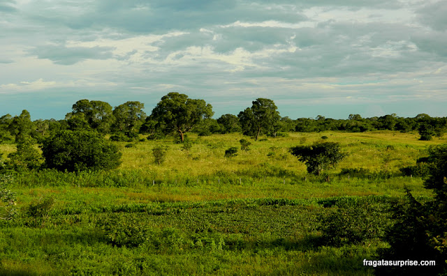 Bom destino de viagem para abril: Pantanal