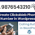 How to create a link for a phone number in WordPress