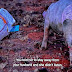 GOGO MAWENI DRESSES A PIG WITH A SIDE CHICK'S PINK PANTY TO PUT A CURSE ON HER