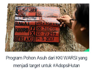 Program pohon asuh