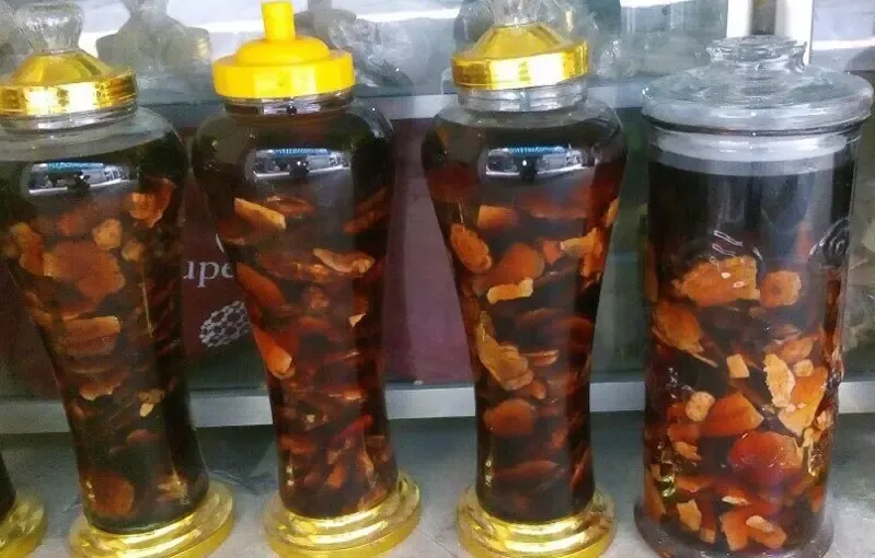 Hà Thủ Ô đỏ