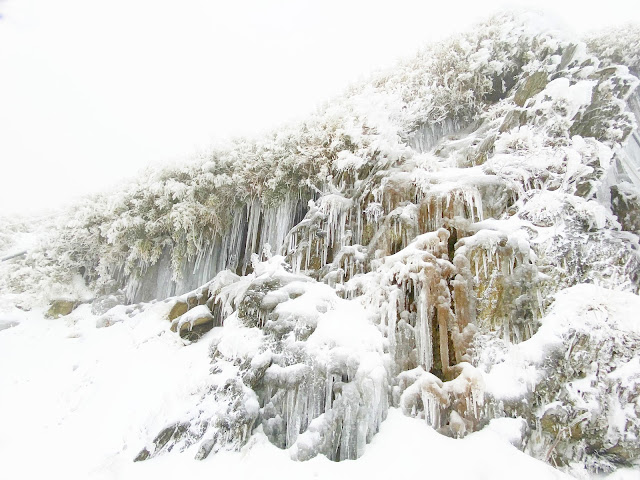 合歡山賞雪