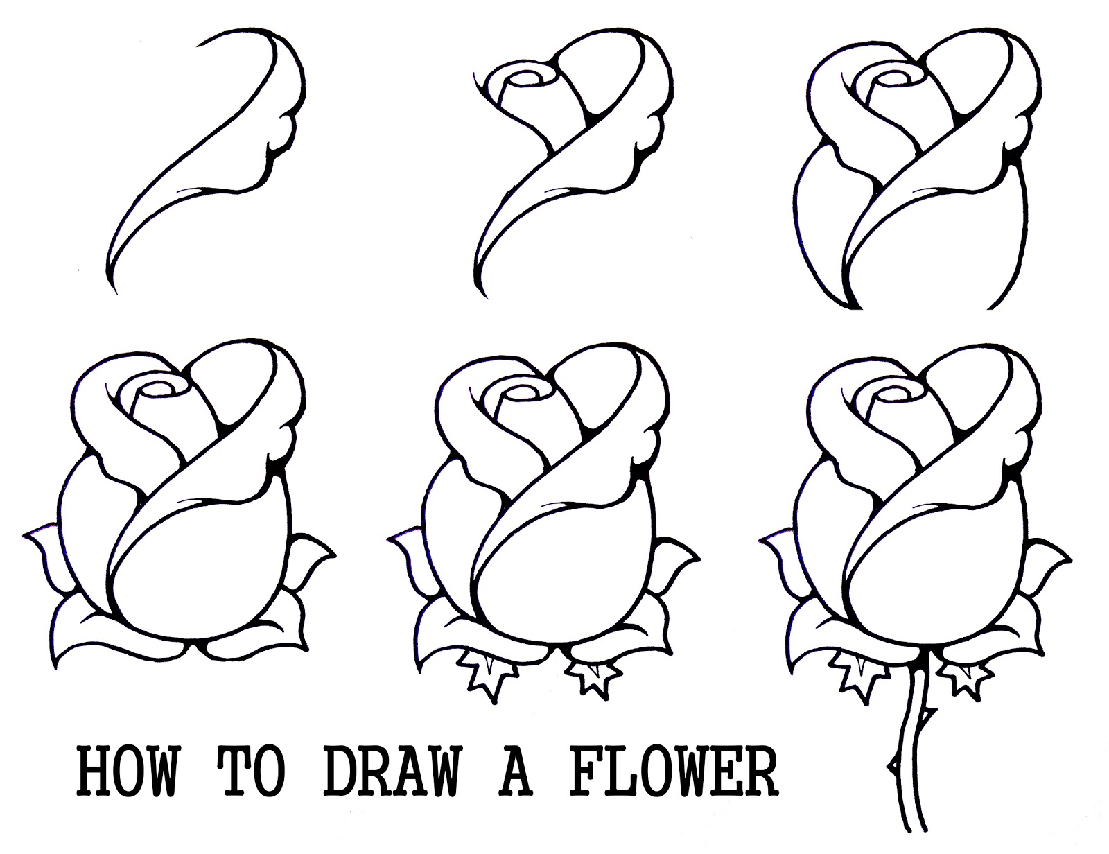 Step by Step Drawing Flowers Rose