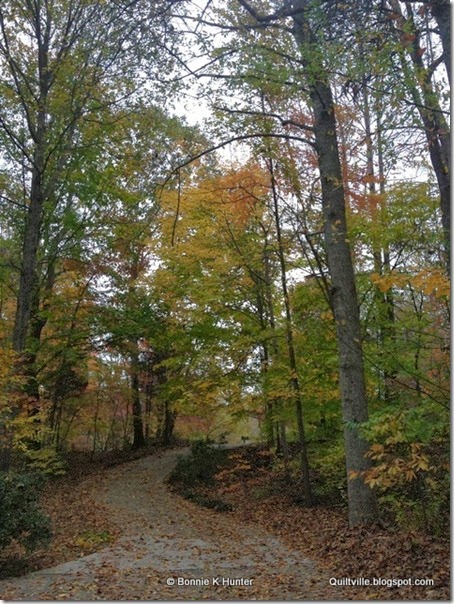 autumn2013 003