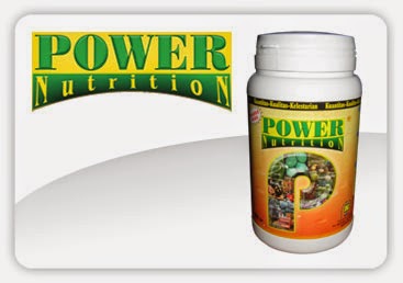 power nutrition Nutrisi Alami Lengkap Tanaman Buah
