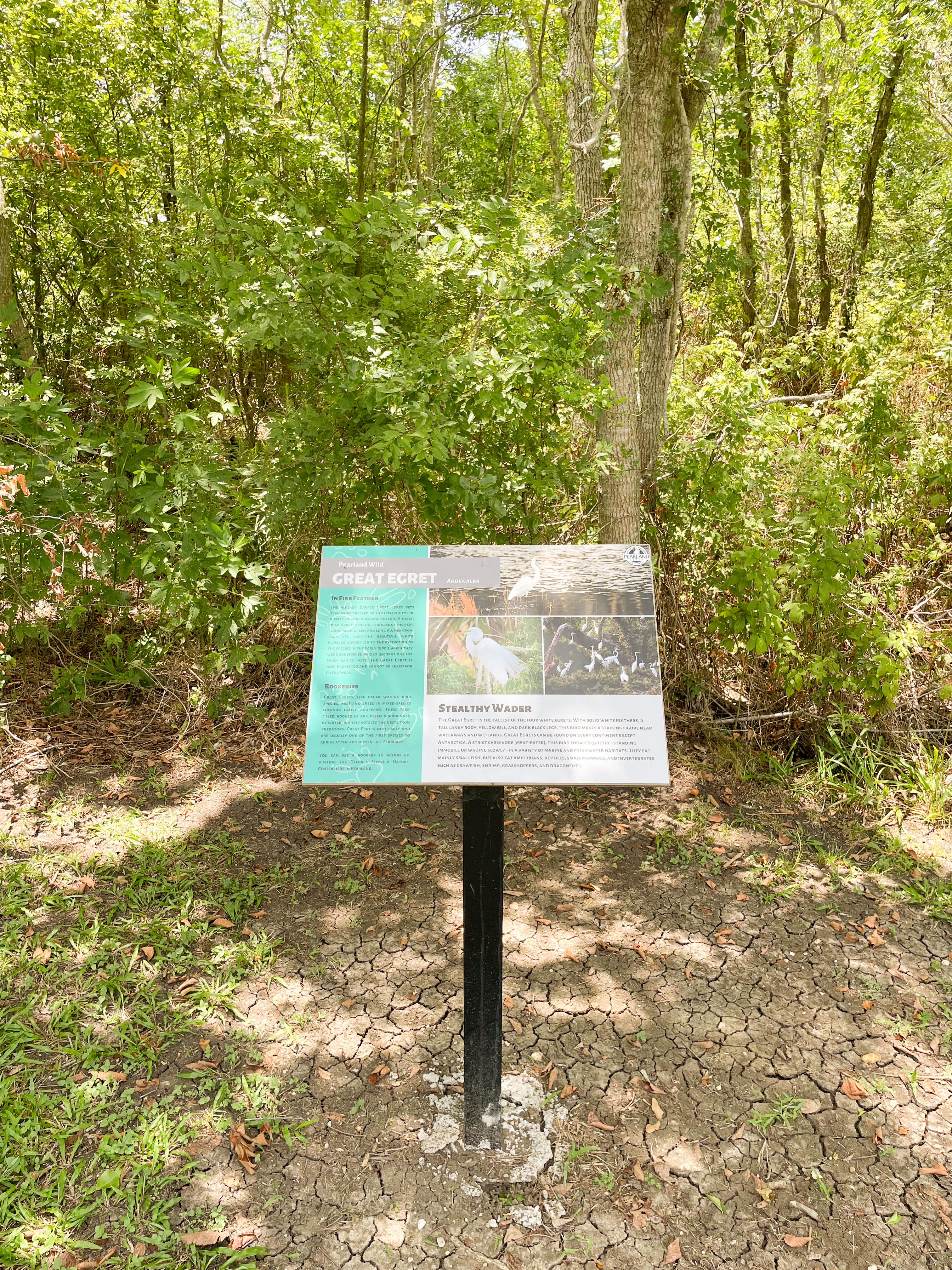 Nature Poster Along  Mary's Creek Trail in Pearland, TX