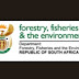 Department of Forestry, Fisheires and the Environment (DFFE) Bursary programme 2023