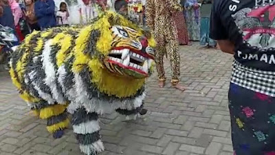 Barongsai Meriahkan Karnaval di Desa Curahlele